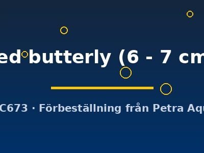 red butterly (6 - 7 cm)
