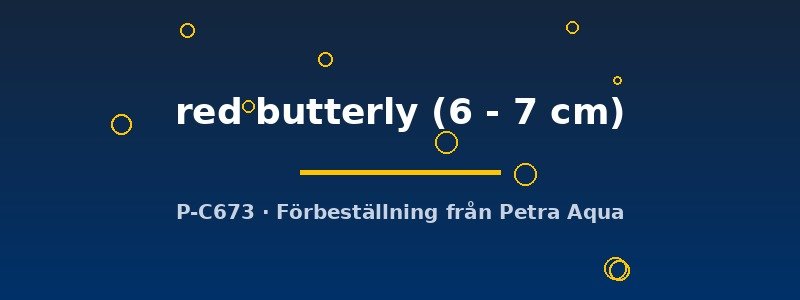 petra-ph2-181822 petra-ph2-181822