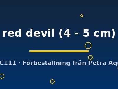 red devil (4 - 5 cm)