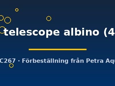 red eye telescope albino (4 - 5 cm)