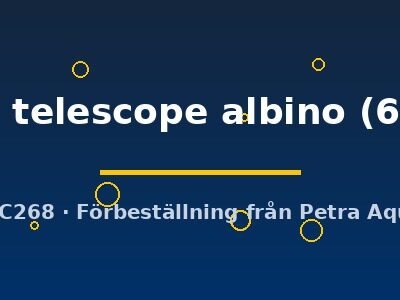 red eye telescope albino (6 - 7 cm)