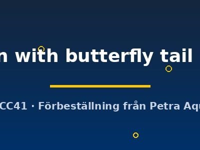 Carassius auratus l.f. red ryukin with butterfly tail 8–9 cm