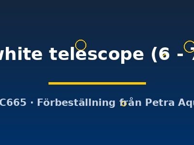 Carassius auratus l.f. red white telescope 6–7 cm