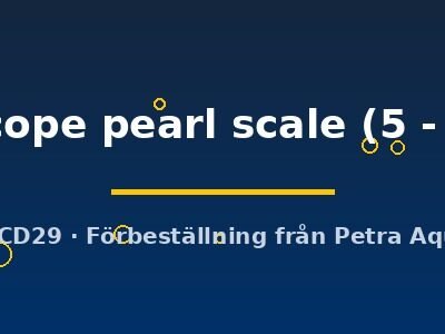 Carassius auratus l.f. telescope pearl scale 5–6 cm