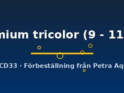 premium tricolor (9 - 11 cm)