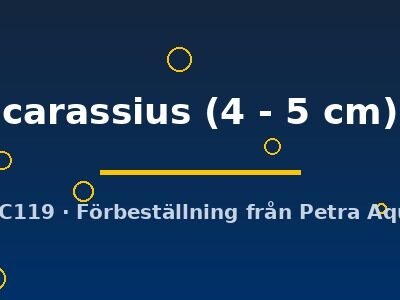 carassius (4 - 5 cm)