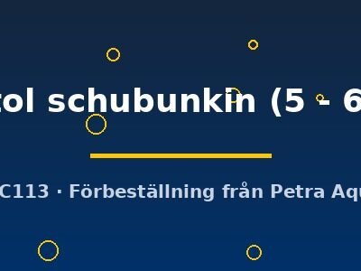 bristol schubunkin (5 - 6 cm)