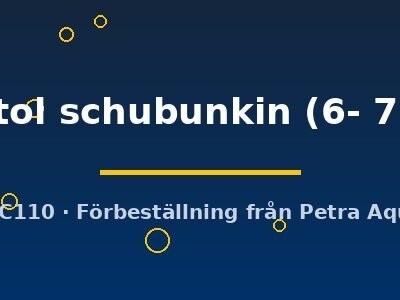 bristol schubunkin (6- 7 cm)