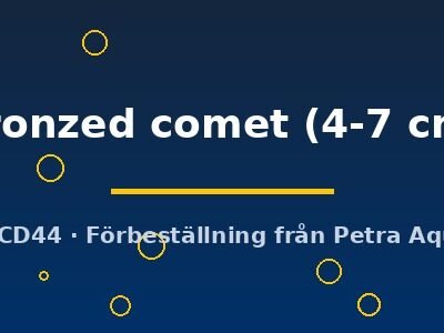 bronzed comet (4-7 cm)
