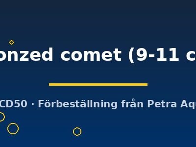 bronzed comet (9-11 cm)