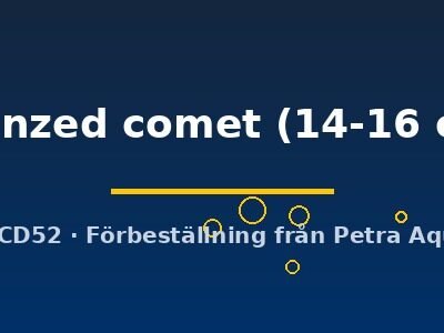 bronzed comet (14-16 cm)