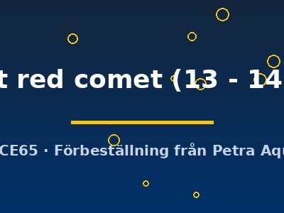 Carassius auratus matt red comet 13–14 cm