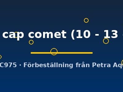 red cap comet (10 - 13 cm)
