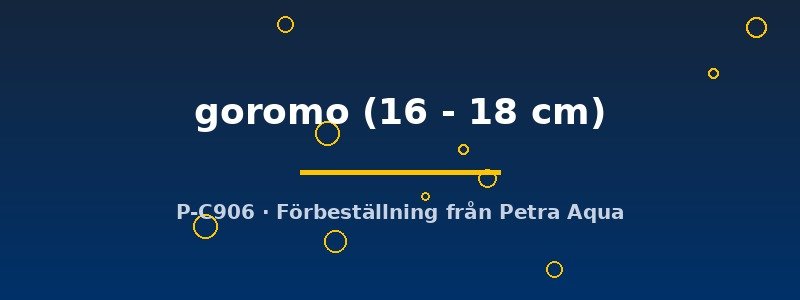 petra-ph2-182125 petra-ph2-182125