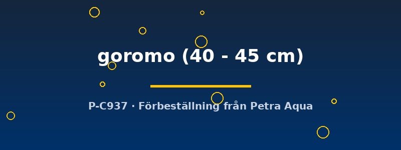 petra-ph2-182129 petra-ph2-182129
