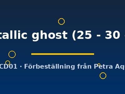 metallic ghost (25 - 30 cm)