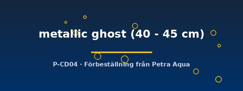 petra-ph2-182203 petra-ph2-182203
