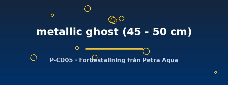 petra-ph2-182204 petra-ph2-182204