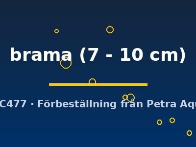 Abramis brama 7–10 cm