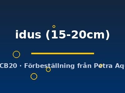idus (15-20cm)