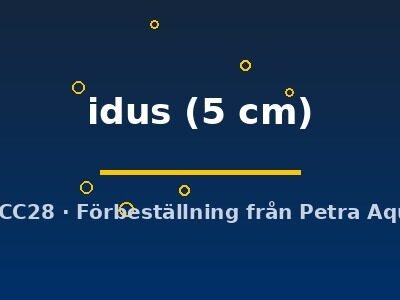 idus (5 cm)