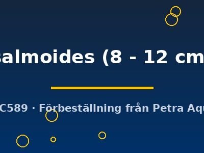 salmoides (8 - 12 cm)