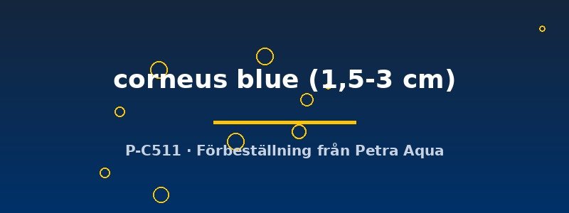 petra-ph2-182434 petra-ph2-182434