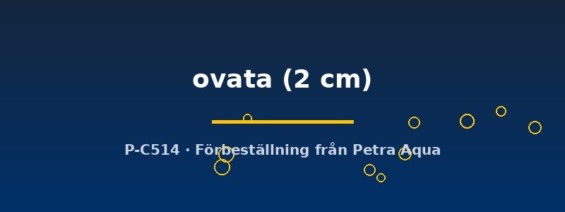 petra-ph2-182435 petra-ph2-182435