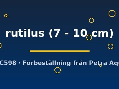 rutilus (7 - 10 cm)