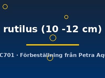 rutilus (10 -12 cm)