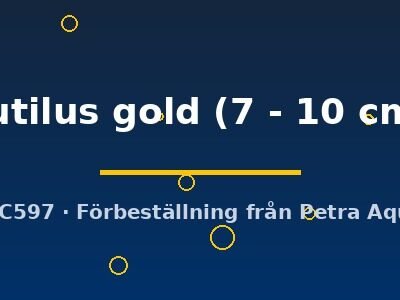 rutilus gold (7 - 10 cm)