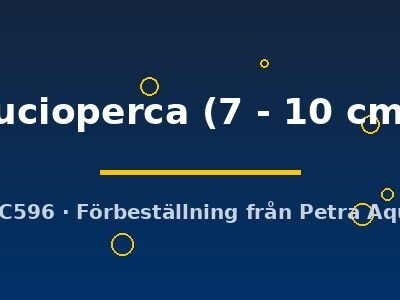 lucioperca (7 - 10 cm)