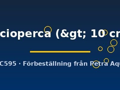 lucioperca (> 10 cm)
