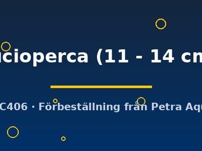 lucioperca (11 - 14 cm)
