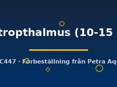 Scardinius erytropthalmus 10–15 cm