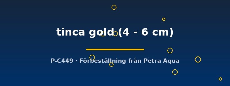 petra-ph2-182475 petra-ph2-182475