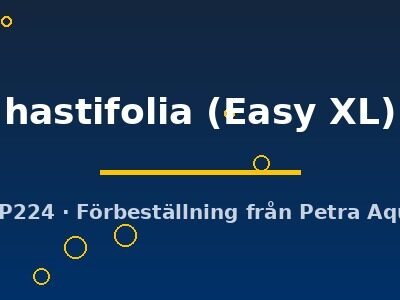 hastifolia (Easy XL)