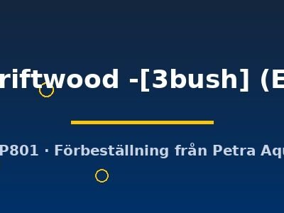 on driftwood -[3bush] (Easy)