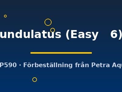 undulatus (Easy   6)
