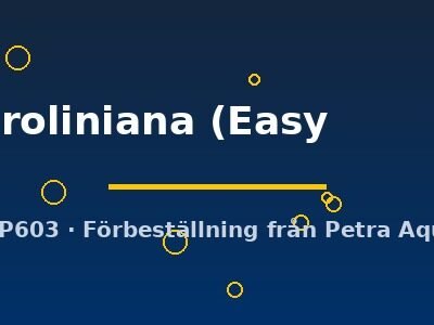 caroliniana (Easy        1)