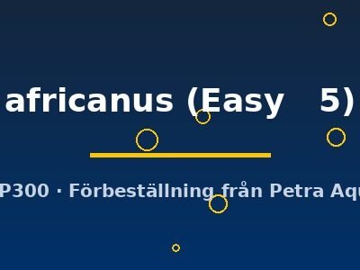 Echinodorus africanus Easy5