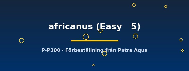petra-ph2-182566 Echinodorus africanus Easy5