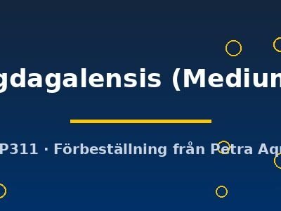 magdagalensis (Medium 5)