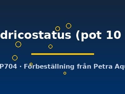 quadricostatus (pot 10 cm)