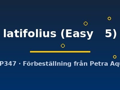 latifolius (Easy 5)