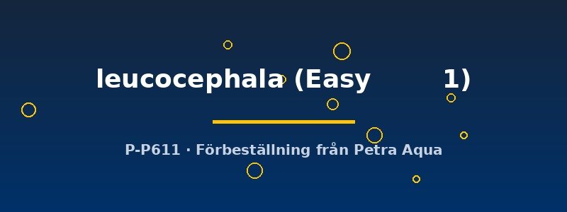 petra-ph2-182612 petra-ph2-182612