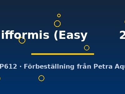 Hygrophila difformis Easy2