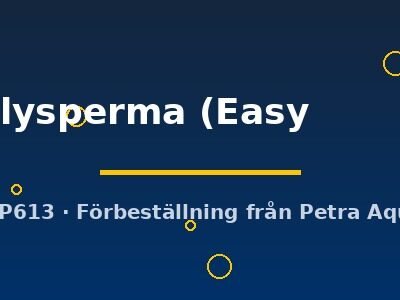 Hygrophila polysperma Easy1