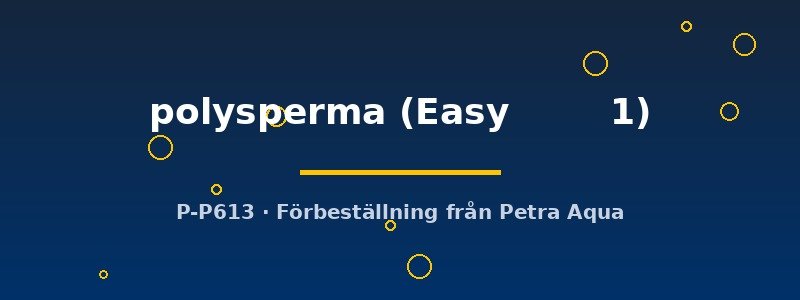 petra-ph2-182618 petra-ph2-182618