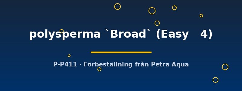 petra-ph2-182619 petra-ph2-182619